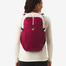 Cargar imagen en el visor de la galería, Quechua® Mochila 20 LITROS ARPENAZ 100 Montaña Trekking Viajes
